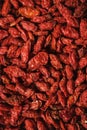 Closeup of red goji berries Royalty Free Stock Photo