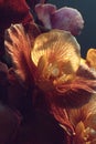Closeup of Red Orange Orchid Blossom Royalty Free Stock Photo