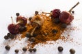 Closeup of red pepper powder, dried red pepper, black peppercorns on the white surface Royalty Free Stock Photo