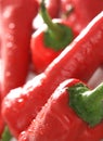 Closeup of red peppers Royalty Free Stock Photo
