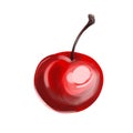 Closeup red ripe juicy cherry illustration