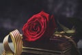 Red rose, book and Catalan flag Royalty Free Stock Photo