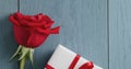 Closeup of red rose with gift on blue wood table Royalty Free Stock Photo