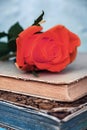 Closeup of red rose lying on old books Royalty Free Stock Photo