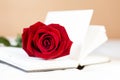 Closeup red rose on white notebook, love note, love and romance Royalty Free Stock Photo