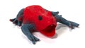 Closeup of red rubber frog toy on white background. Royalty Free Stock Photo