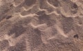 Closeup of Red Sand With Texture and a Wavy Pattern Royalty Free Stock Photo