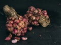 Closeup red shallot on dark background