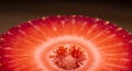 Closeup of a Red Strawberry Cross Section Royalty Free Stock Photo