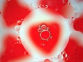 Closeup red-white bubbles oil ,abstract background for webdesign Royalty Free Stock Photo