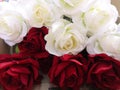 red and white rose Love Valentine Day by handmade