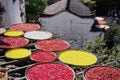 Closeup of red and yellow herbs and spices drying on round trays during daytime Royalty Free Stock Photo