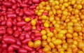 Closeup of Red and Yellow Jellybean Tomatoes Royalty Free Stock Photo