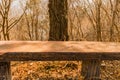 Reddish brown concrete park bench