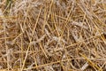 Closeup of residual straw after grain processing