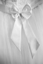 Closeup of ribbon of wedding dress detail Royalty Free Stock Photo