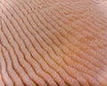 A Closeup of Rills on Beach Royalty Free Stock Photo