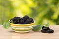 Closeup ripe black mulberries in striped ceramic bowl on the table on green leaves background.