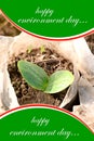 closeup the ripe green pumpkin plant growing in the farm environment heal earth and save the world Royalty Free Stock Photo