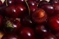 Closeup ripe red cherry, cut into half with stone Royalty Free Stock Photo