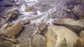 Closeup of river and stones. Water in a raging mountain river. Beautiful natural background of stones and water. Royalty Free Stock Photo