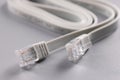 Closeup of rj45 cable on gray background Royalty Free Stock Photo