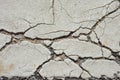 Closeup Road cracks