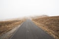 Closeup of a road to the Point Reyes National Seashore in California during a misty weather