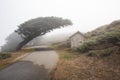 Closeup of a road to the Point Reyes National Seashore in California during misty weather