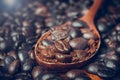 Closeup Roasted coffee beans in the wooden spoon