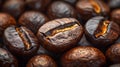 A closeup of roasted singleorigin Kona coffee beans Royalty Free Stock Photo