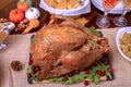 Closeup, Roasted, Stuffed Turkey