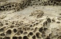 Closeup rock erosion holes sea wall. Royalty Free Stock Photo