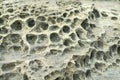 Closeup rock erosion holes sea wall. Royalty Free Stock Photo