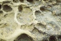 Closeup rock erosion holes sea wall.