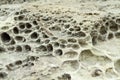 Closeup rock erosion holes sea wall. Royalty Free Stock Photo