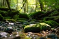 Closeup Of Rock On Forest Streambed Against Backdrop Of Unfocused Lush Vegetation. Empty Display Case For Presentation Of Cosmetic Royalty Free Stock Photo