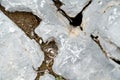 Closeup rock pattern with hole in nature