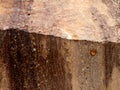 closeup of a rock polished to show texture background trail of time grand canyon edge and brown spots Royalty Free Stock Photo