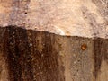 closeup of a rock polished to show texture background trail of time grand canyon edge and brown spots