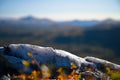 Closeup of rocks covered in ice on a hill under the sunlight with a blurry background