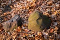 Closeup of rocks and pile of autumn leaves scattered on the ground