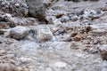 Closeup of rocky mountainous stream in the Val di Fassa, Dolomites