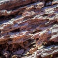 Closeup or a rocky texture with breaches