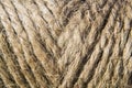 Closeup of ropes under the sunlight - great for backgrounds and wallpapers