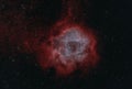 Closeup of the Rosette nebula NGC2237 in space viewed in the H palette Royalty Free Stock Photo