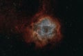 Closeup of the Rosette nebula NGC2237 in space viewed in the HSO palette Royalty Free Stock Photo