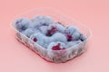 Closeup of rotten moldy raspberry in plastic box on pink