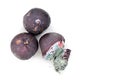 Closeup on rotten and moldy red plum fruits Royalty Free Stock Photo