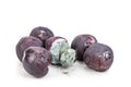 Closeup on rotten and moldy red plum fruits Royalty Free Stock Photo